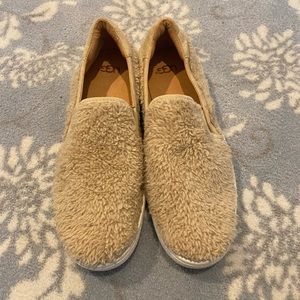 Ugg Sherpa sneakers